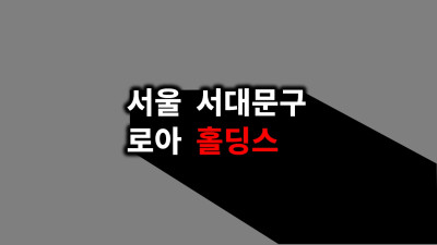 서울시 동대문구 로아홀딩스